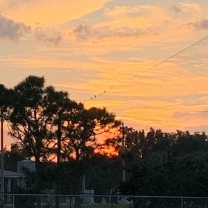 Meet your Posher, Cassandra